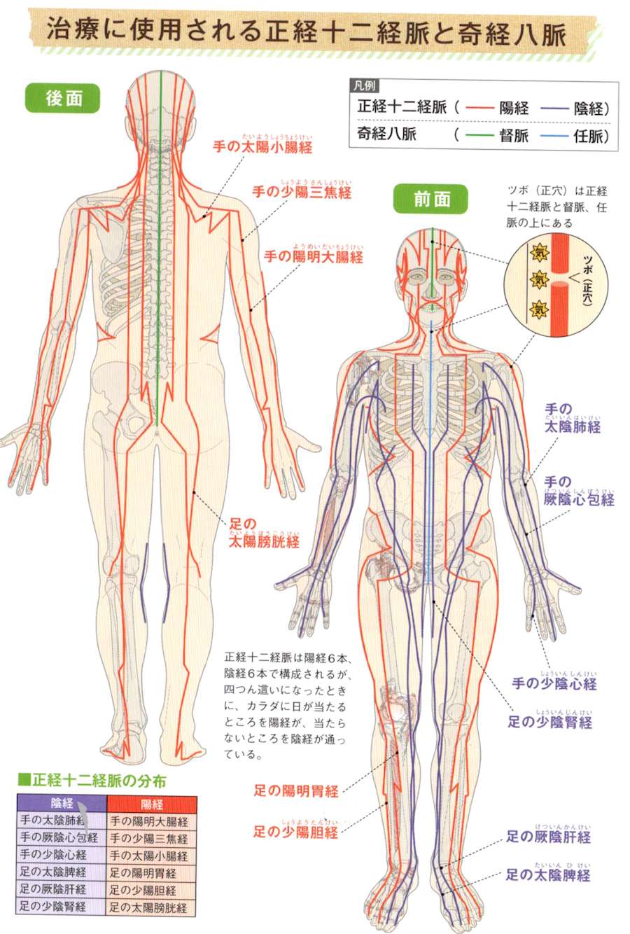 経絡