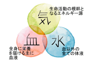 気血水